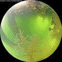./images/calvert/underwater/20260807/underwater20260807_112001M.jpg