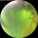 ./images/calvert/underwater/20260807/underwater20260807_112501M.jpg