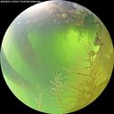 ./images/calvert/underwater/20260807/underwater20260807_113501M.jpg