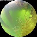 ./images/calvert/underwater/20260807/underwater20260807_114001M.jpg