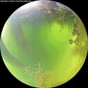 ./images/calvert/underwater/20260807/underwater20260807_114502M.jpg