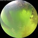 ./images/calvert/underwater/20260807/underwater20260807_115001M.jpg