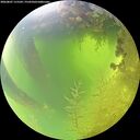 ./images/calvert/underwater/20260807/underwater20260807_115501M.jpg