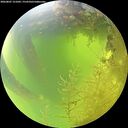./images/calvert/underwater/20260807/underwater20260807_121001M.jpg