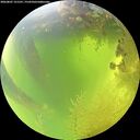 ./images/calvert/underwater/20260807/underwater20260807_121501M.jpg