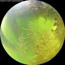 ./images/calvert/underwater/20260807/underwater20260807_122001M.jpg