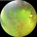 ./images/calvert/underwater/20260807/underwater20260807_122501M.jpg