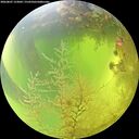 ./images/calvert/underwater/20260807/underwater20260807_123002M.jpg