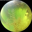 ./images/calvert/underwater/20260807/underwater20260807_124001M.jpg