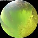 ./images/calvert/underwater/20260807/underwater20260807_124501M.jpg