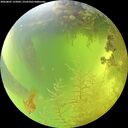 ./images/calvert/underwater/20260807/underwater20260807_125001M.jpg