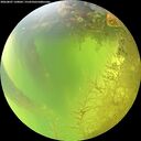 ./images/calvert/underwater/20260807/underwater20260807_130002M.jpg