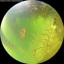 ./images/calvert/underwater/20260807/underwater20260807_130501M.jpg