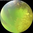 ./images/calvert/underwater/20260807/underwater20260807_131501M.jpg