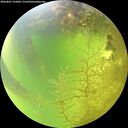 ./images/calvert/underwater/20260807/underwater20260807_132001M.jpg