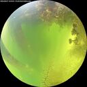 ./images/calvert/underwater/20260807/underwater20260807_132501M.jpg