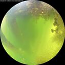 ./images/calvert/underwater/20260807/underwater20260807_133002M.jpg