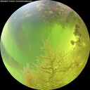 ./images/calvert/underwater/20260807/underwater20260807_133501M.jpg