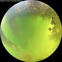 ./images/calvert/underwater/20260807/underwater20260807_134501M.jpg