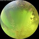 ./images/calvert/underwater/20260807/underwater20260807_135001M.jpg