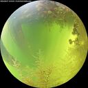 ./images/calvert/underwater/20260807/underwater20260807_135501M.jpg