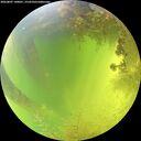 ./images/calvert/underwater/20260807/underwater20260807_140001M.jpg
