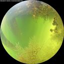 ./images/calvert/underwater/20260807/underwater20260807_140501M.jpg