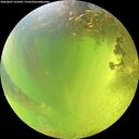 ./images/calvert/underwater/20260807/underwater20260807_141001M.jpg