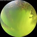 ./images/calvert/underwater/20260807/underwater20260807_142001M.jpg