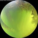 ./images/calvert/underwater/20260807/underwater20260807_142501M.jpg