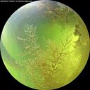./images/calvert/underwater/20260807/underwater20260807_143001M.jpg