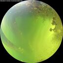 ./images/calvert/underwater/20260807/underwater20260807_143501M.jpg