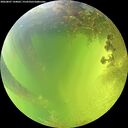 ./images/calvert/underwater/20260807/underwater20260807_144001M.jpg