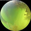 ./images/calvert/underwater/20260807/underwater20260807_144501M.jpg