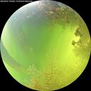 ./images/calvert/underwater/20260807/underwater20260807_145002M.jpg