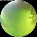 ./images/calvert/underwater/20260807/underwater20260807_145501M.jpg