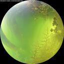 ./images/calvert/underwater/20260807/underwater20260807_152001M.jpg