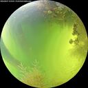 ./images/calvert/underwater/20260807/underwater20260807_152501M.jpg