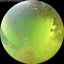 ./images/calvert/underwater/20260807/underwater20260807_153001M.jpg