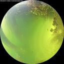 ./images/calvert/underwater/20260807/underwater20260807_154001M.jpg