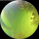 ./images/calvert/underwater/20260807/underwater20260807_154501M.jpg