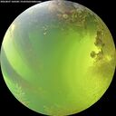 ./images/calvert/underwater/20260807/underwater20260807_160501M.jpg