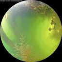 ./images/calvert/underwater/20260807/underwater20260807_162001M.jpg