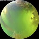 ./images/calvert/underwater/20260807/underwater20260807_164002M.jpg