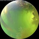 ./images/calvert/underwater/20260807/underwater20260807_164501M.jpg