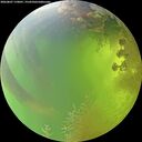 ./images/calvert/underwater/20260807/underwater20260807_170001M.jpg