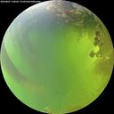 ./images/calvert/underwater/20260807/underwater20260807_170501M.jpg