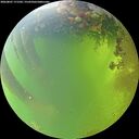 ./images/calvert/underwater/20260807/underwater20260807_171501M.jpg