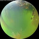./images/calvert/underwater/20260807/underwater20260807_175501M.jpg