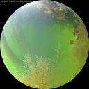 ./images/calvert/underwater/20260807/underwater20260807_181001M.jpg